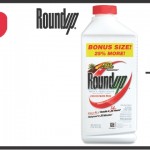 June16 BOM Digital Ad – Horiz(2016531194319324)
